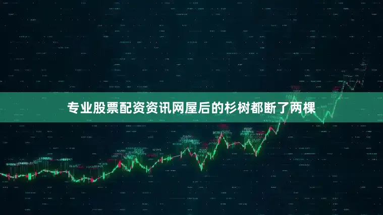 专业股票配资资讯网屋后的杉树都断了两棵