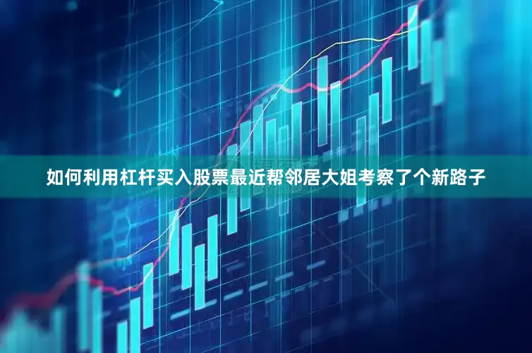 如何利用杠杆买入股票最近帮邻居大姐考察了个新路子