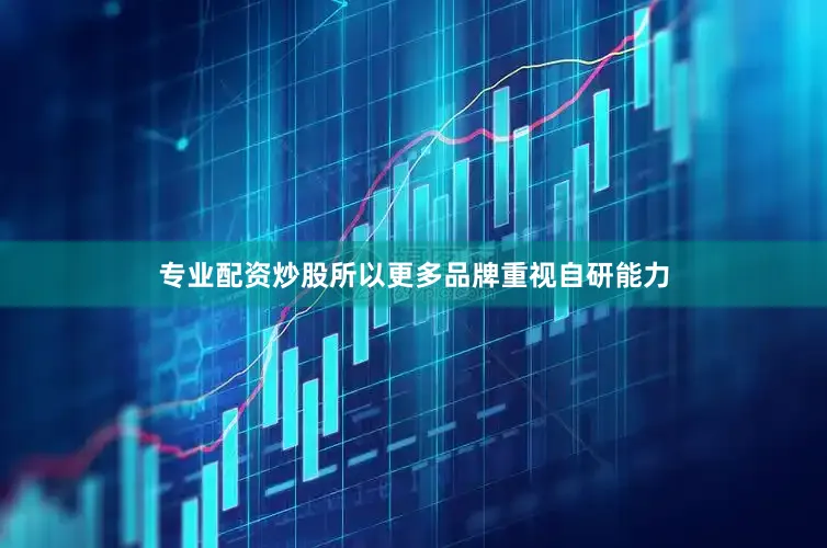 专业配资炒股所以更多品牌重视自研能力